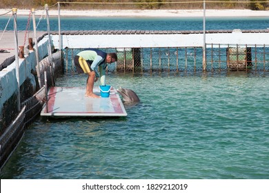 A Dolphin Trainer Feeds Dolphin Fish In An Aquarium In Cuba. CAYO LARGO/CUBA - 03 10 2013: