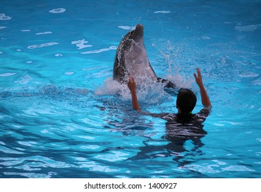 Dolphin With Trainer In Water