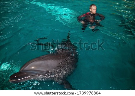 dolphin trainers train in the pool