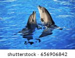Dolphins