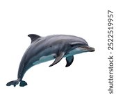 Dolphins are intelligent marine mammals known for their playful behavior, social structures, and acrobatic displays. They possess a streamlined body, a pronounced snout, and communicate using a range 