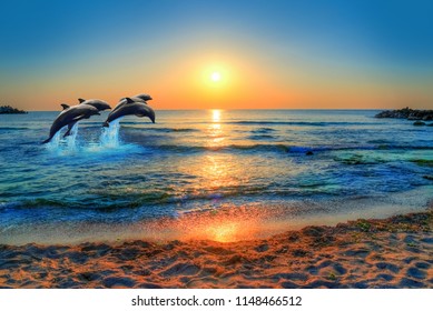 Dolphins Jumping In The Blue Sea Of Thailand At Sunset