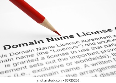 Domain Name License