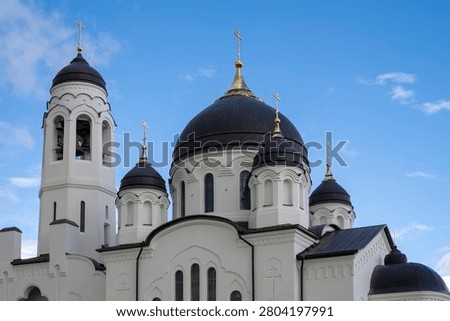 Domes of the Cathedral of the Intercession of the Most Holy Theotokos in close-up. Borovsk, Kaluga Region, Russia