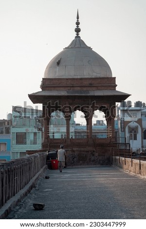 Domes of Juma Mosque built by Mughals in Delhi, India