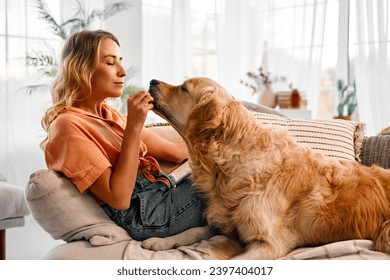 Domestic activities. Friendly golden retriever reaching out muzzle to attractive adult woman sitting on sofa at living room. Positive young blonde playing with favorite furry pet during pastime. - Powered by Shutterstock