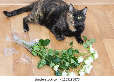 Domestic Cat Dropped And Broken Glass Vase Of Flowers. Concept Of Damage From Pets.