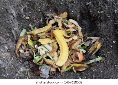 Domestic Compost with Food Waste - Powered by Shutterstock