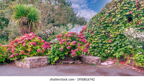 Domestic Garden In The French Normandy In A Cloudy Day