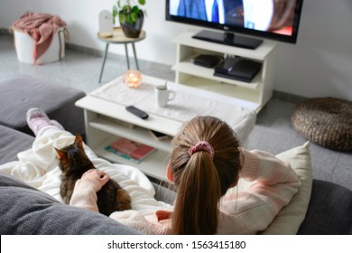 Domestic Life With Pet At Home. A Young Woman Is Sitting On The Couch With Her Cat On Her Lap In The Living Room. She Watches TV While Stroking Her Cat. Binge Watching Tv Via Online Streaming Platform