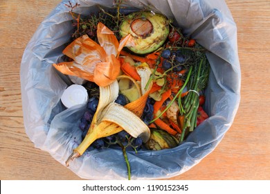 18,427 Kitchen trash Images, Stock Photos & Vectors | Shutterstock