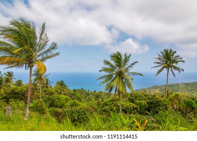 Dominica Shoreline Before Hurricane Maria.