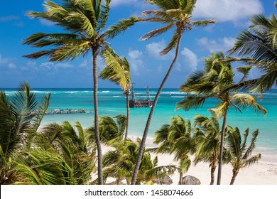 Imágenes Fotos De Stock Y Vectores Sobre Nature Plage