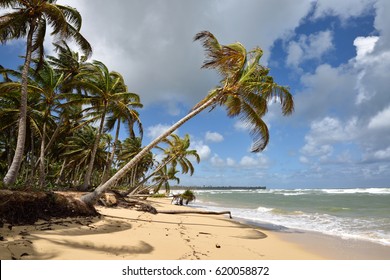 Playas Uvero Alto Hd Stock Images Shutterstock