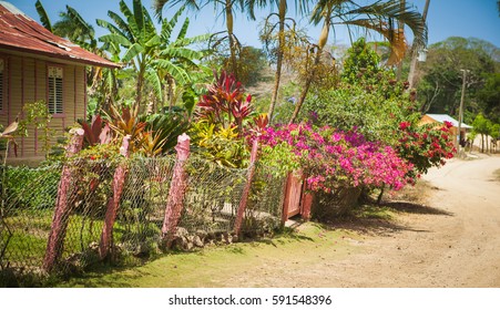 Dominican Republic, Ranch, Crop Farming Coffee And Cocoa