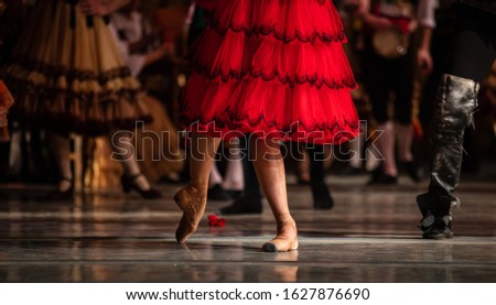 Don Quixote ballet. Closeup of ballerinas dancing