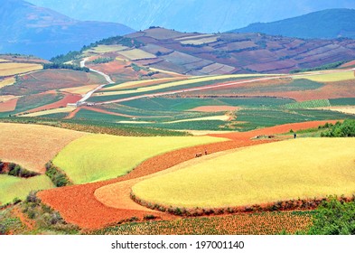 China Crops Images Stock Photos Vectors Shutterstock
