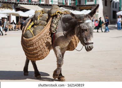 Donkey Work