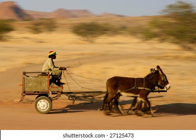 Donkey Cart