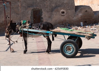 Donkey Cart