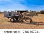 donkey cart, african mother and child next to tuck shop , in the village, spaza shop, street vendor small retailer in a shack selling snacks,