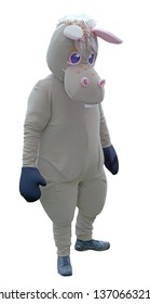 The Donkey Costume On White Background