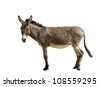 4,693 Christmas Donkeys Royalty-Free Photos and Stock Images | Shutterstock