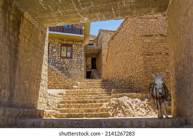 Donkey In Palangan Village In Kurdistan Region, Iran