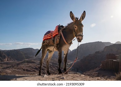 A Donkey With A Saddle In The Colors Of The US Flags Against The Background Of Mountains. The Donkey Is A Symbol Of The Democratic Party Of The United States Of America