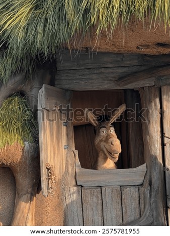 Donkey from sheep Universal Studios 