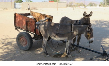 Donkeys And Cart Standing In The Shade.