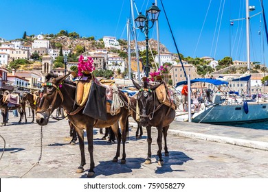 Donkeys at the Hydra island  in a summer day in Greece - Powered by Shutterstock