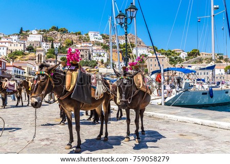 Donkeys at the Hydra island  in a summer day in Greece Stock fotó © 