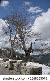 Donner Pass In The Winter