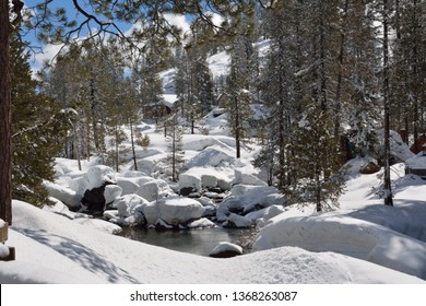 Donner Pass In The Winter