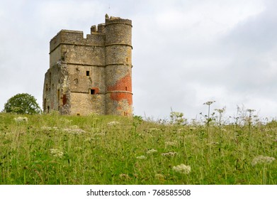 Donnington Castle From The Field