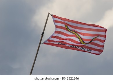 Don't Tread On Me Images, Stock Photos & Vectors | Shutterstock