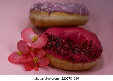 Donuts With Pink And Violet Icing And Colored Sprinkles With Poppy Seeds And Dry Raspberry On Pink Background With Pink Begonia Petals. Tasty Delicious Fat High Calories Sweet Food. Selective Focus