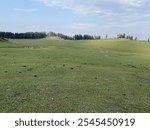 Doodhpathri Budgam Kashmir - A Mesmerizing Rangeland of Natural Beauty, Serene Meadows, Scenic Views, and Pristine Alpine Landscapes