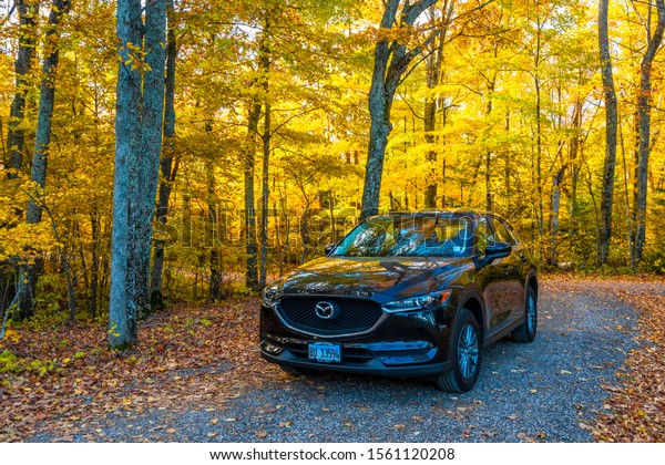 Door County, USA - November 25,\
2019 : Mazda CX-5 is parking in the forest of Door County\
