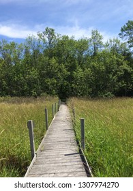 Door County, Wi Landscape