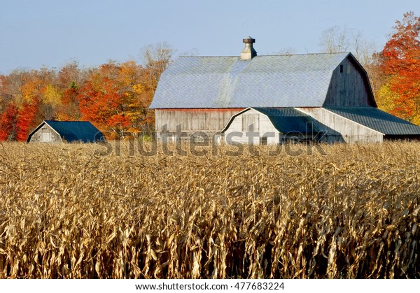 Door County Wisconsin Barn Hides Behind Stock Photo Edit