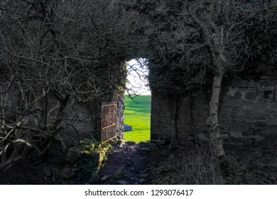 Door Into Magic World