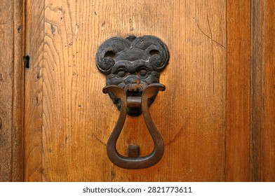 The door knocker in devil shape
