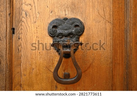 The door knocker in devil shape