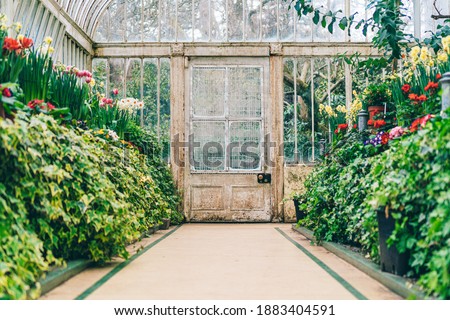 Door leading out of greenhouse in victorian botanical gardens in Belfast