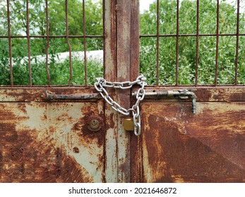 Door locked with chain. Rusted door. Iron garden gate.