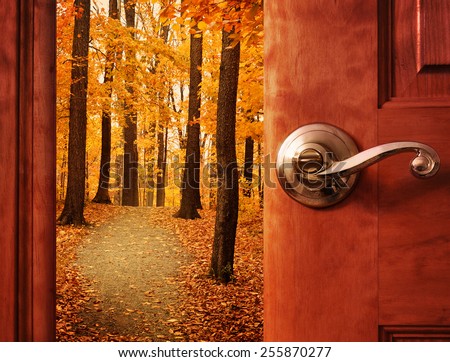 A door is opening into a beautiful forest with autumn leaves and a path trail with sunshine in the sky for an escape or dream concept.