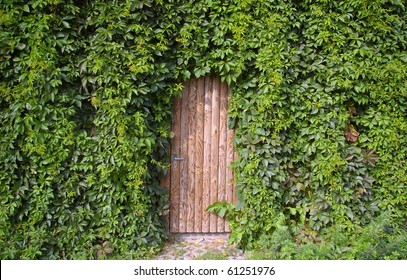 Door Overgrown With Vines