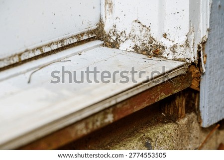 Door threshold rot and moisture damage representing home repair, exterior maintenance, property inspection, and renovation work.